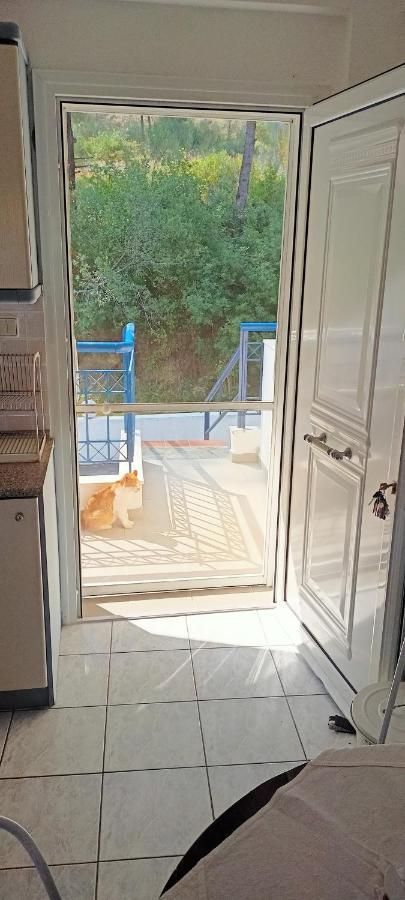 Siviri Sea & Forest-Cozy Apartment With Garden & Nature Views Exteriör bild