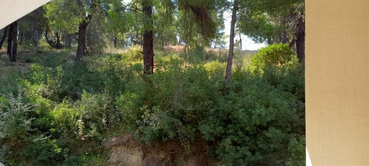 Siviri Sea & Forest-Cozy Apartment With Garden & Nature Views Exteriör bild